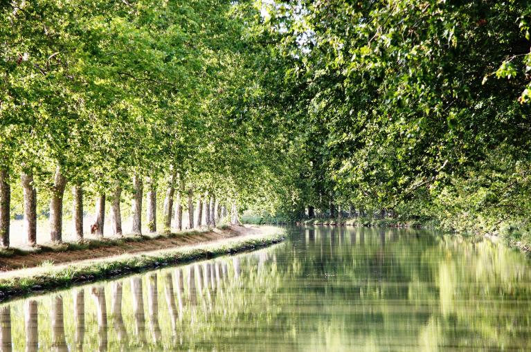 Canal de la Garonne – de Bordeaux à Toulouse - 7 jours
