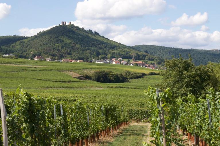 Alsace, route du Vin 