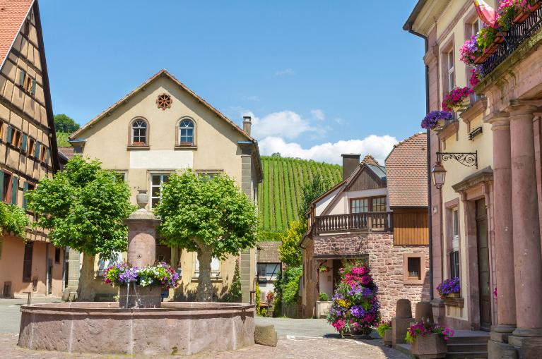 La route des Vins d'Alsace - 5 jours