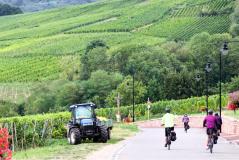  La route des Vins d'Alsace à vélo