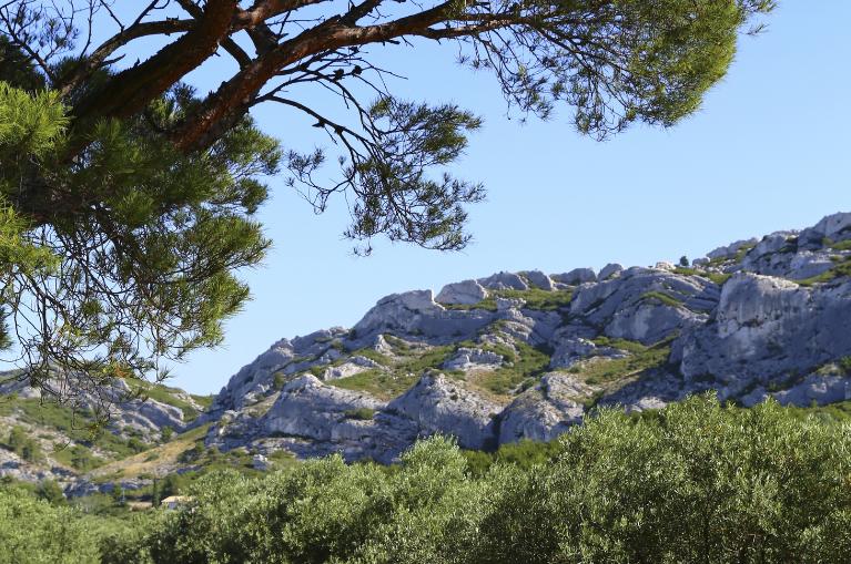 Provence - Les Alpilles à vélo - 5 jours