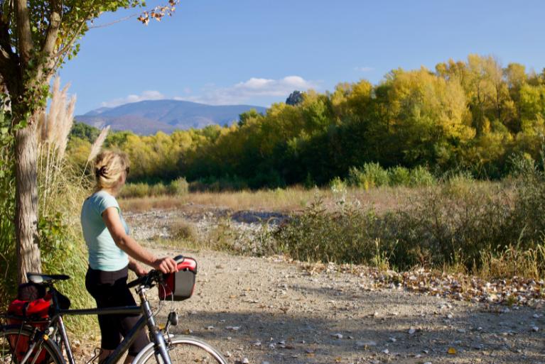 Explorez la Provence et les Alpilles à vélo