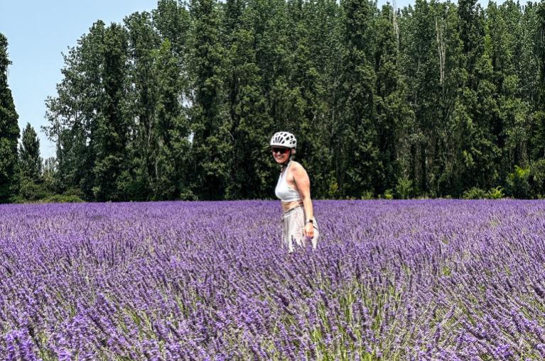 Explorez la Provence et les Alpilles à vélo