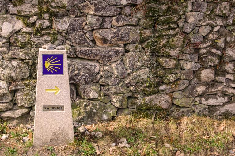 Le Chemin de St-Jacques de Compostelle : du Puy-en-Velay à Cahors - 9 jours
