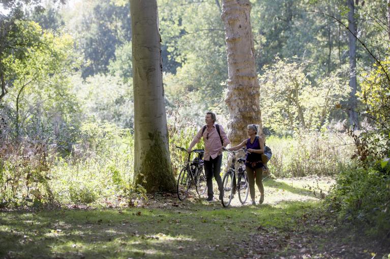 Abbayes & Bières: le Brabant et les Flandres à vélo