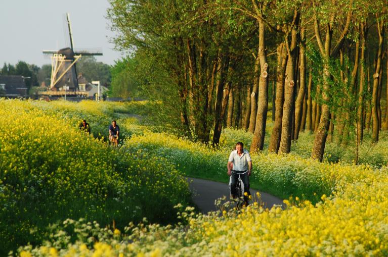 Anciennes villes hollandaises à vélo
