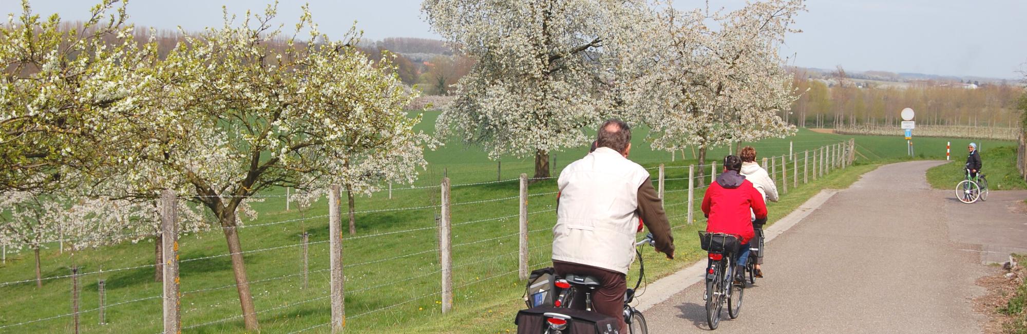 Vacances à vélo en Belgique de 7 jours - Hesbaye