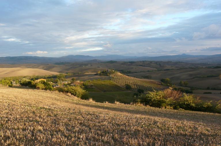 Empruntez les chemins blancs et découvrez la Toscane et le Val d'Orcia à vélo
