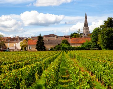 vignobles france